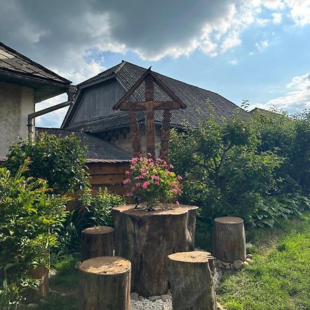 Apartmán La Curtea Veche Lapus Exteriér fotografie