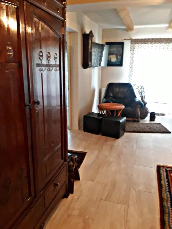 Apartmán La Curtea Veche Lapus Exteriér fotografie