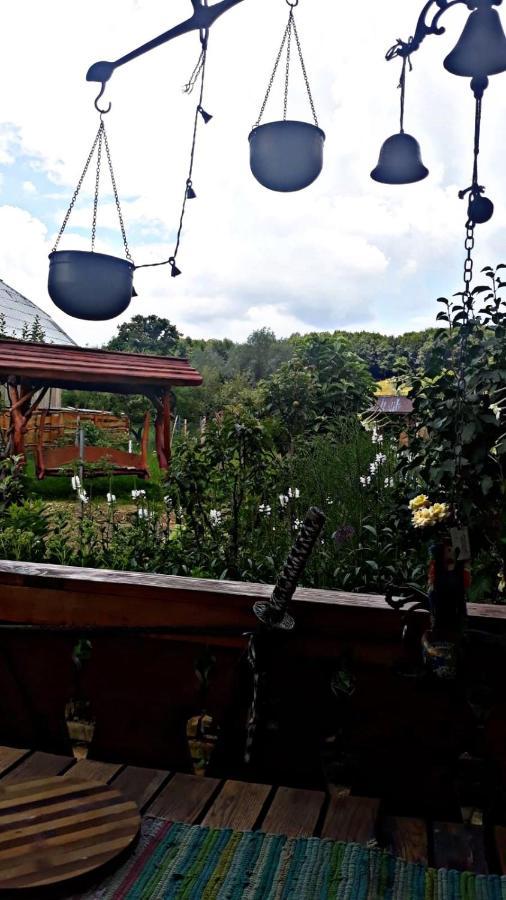 Apartmán La Curtea Veche Lapus Exteriér fotografie