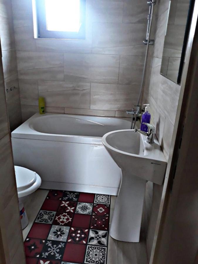 Apartmán La Curtea Veche Lapus Exteriér fotografie