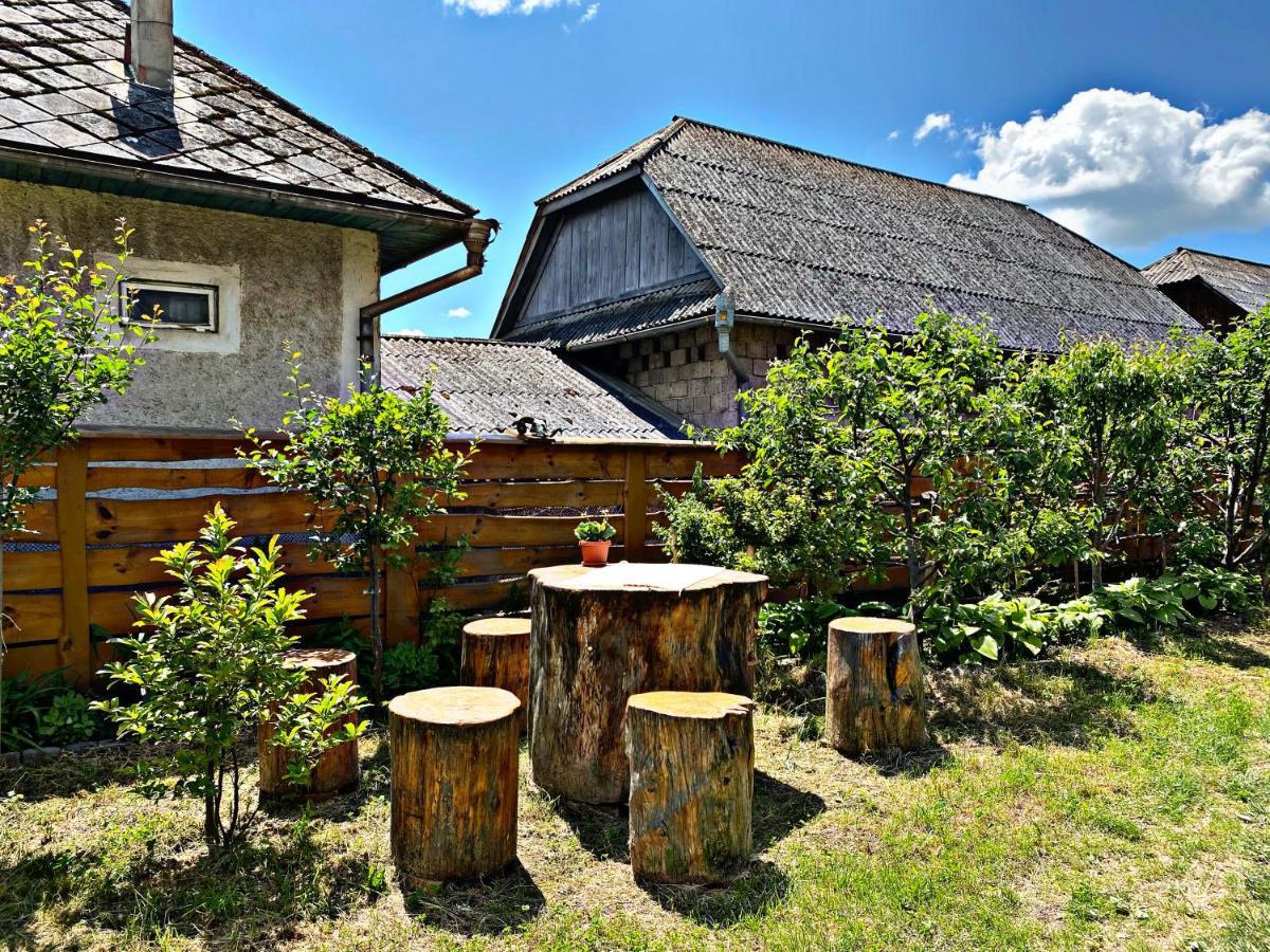 Apartmán La Curtea Veche Lapus Exteriér fotografie