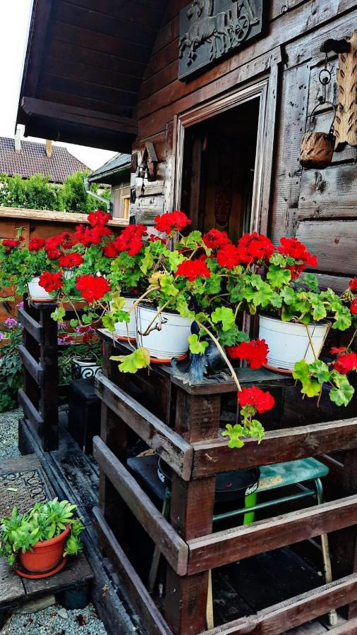 Apartmán La Curtea Veche Lapus Exteriér fotografie