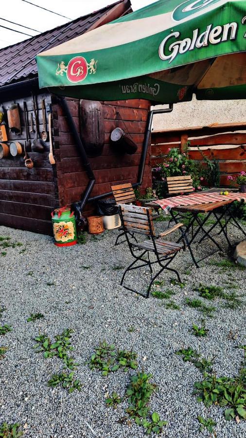 Apartmán La Curtea Veche Lapus Exteriér fotografie