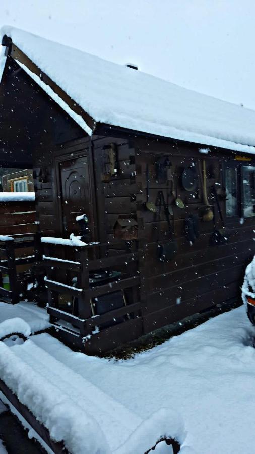 Apartmán La Curtea Veche Lapus Exteriér fotografie