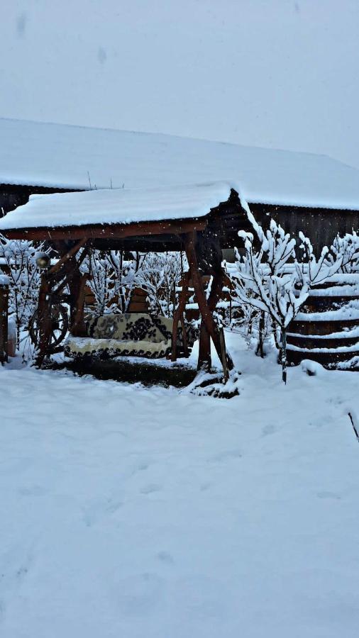Apartmán La Curtea Veche Lapus Exteriér fotografie