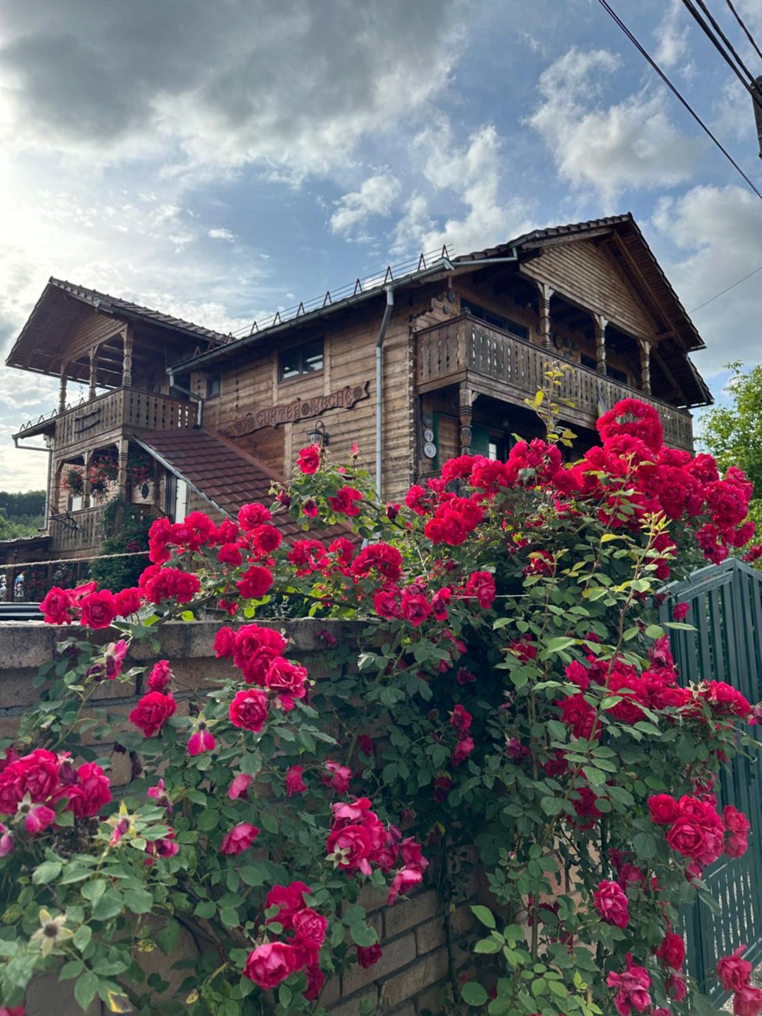 Apartmán La Curtea Veche Lapus Exteriér fotografie